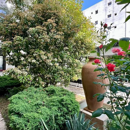 Leon Appartement Năvodari