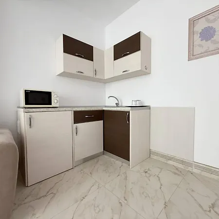 Leon 아파트 Năvodari